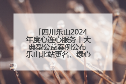 四川乐山2024年度心连心服务十大典型公益案例公布 乐山北站更名、绿心路井盖治理等上榜