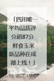 四川唯一平均品质评分超87分 鲜食玉米新品种在成都上线！