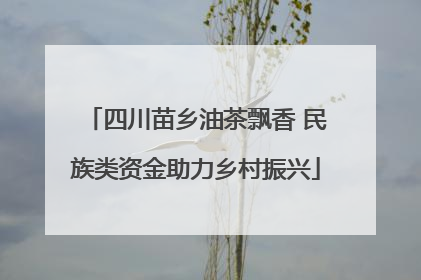 四川苗乡油茶飘香 民族类资金助力乡村振兴