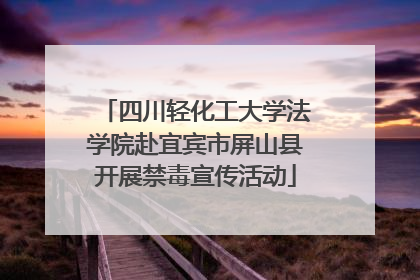 四川轻化工大学法学院赴宜宾市屏山县开展禁毒宣传活动