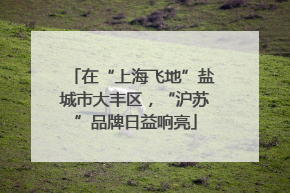 在“上海飞地”盐城市大丰区，“沪苏”品牌日益响亮