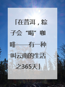 在普洱，粽子会“喝”咖啡——有一种叫云南的生活之365天