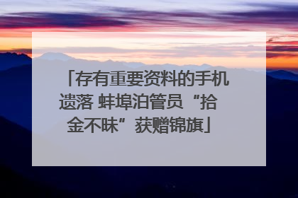 存有重要资料的手机遗落 蚌埠泊管员“拾金不昧”获赠锦旗