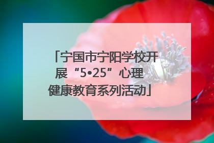 宁国市宁阳学校开展“5•25”心理健康教育系列活动
