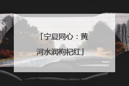 宁夏同心：黄河水润枸杞红