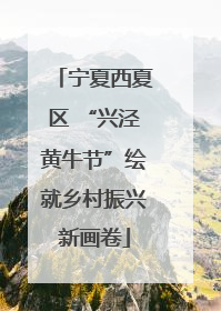宁夏西夏区 “兴泾黄牛节”绘就乡村振兴新画卷
