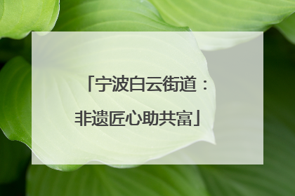 宁波白云街道：非遗匠心助共富