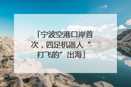 宁波空港口岸首次，四足机器人“打飞的”出海