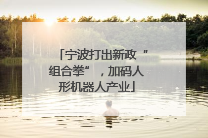 宁波打出新政“组合拳”，加码人形机器人产业