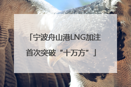 宁波舟山港LNG加注首次突破“十万方”