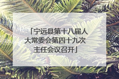 宁远县第十八届人大常委会第四十九次主任会议召开