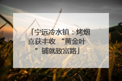 宁远冷水镇：烤烟喜获丰收 “黄金叶”铺就致富路
