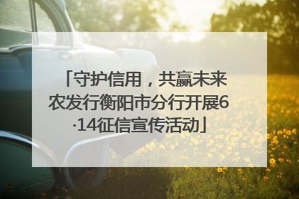 守护信用，共赢未来 农发行衡阳市分行开展6·14征信宣传活动