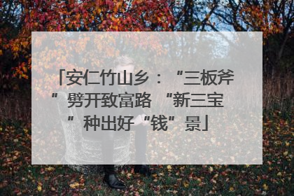 安仁竹山乡：“三板斧”劈开致富路 “新三宝”种出好“钱”景