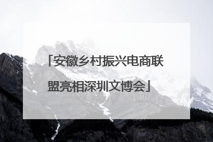 安徽乡村振兴电商联盟亮相深圳文博会