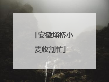 安徽埇桥小麦收割忙