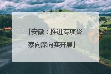 安徽：推进专项督察向深向实开展