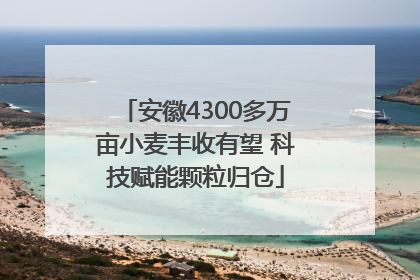安徽4300多万亩小麦丰收有望 科技赋能颗粒归仓
