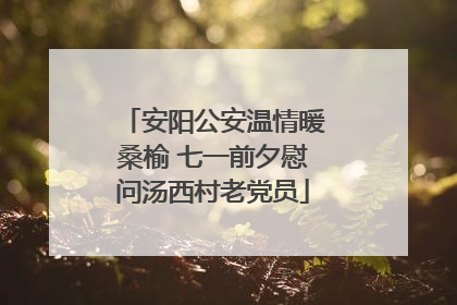 安阳公安温情暖桑榆 七一前夕慰问汤西村老党员