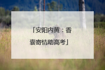安阳内黄：香囊寄情助高考