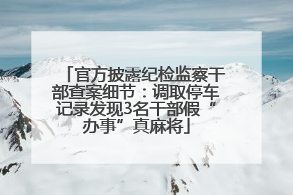 官方披露纪检监察干部查案细节：调取停车记录发现3名干部假“办事”真麻将