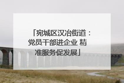 宛城区汉冶街道：党员干部进企业 精准服务促发展