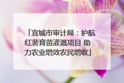 宜城市审计局：护航红薯育苗灌溉项目 助力农业增效农民增收