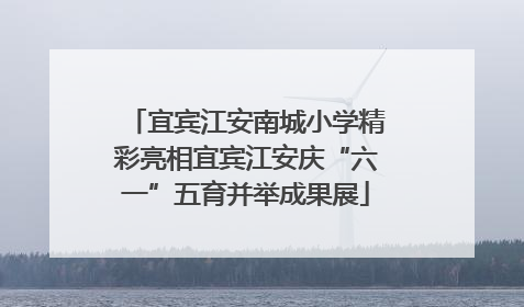 宜宾江安南城小学精彩亮相宜宾江安庆“六一”五育并举成果展