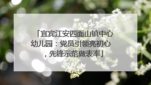 宜宾江安四面山镇中心幼儿园：党员引领亮初心，先锋示范做表率