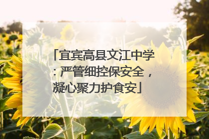 宜宾高县文江中学：严管细控保安全，凝心聚力护食安