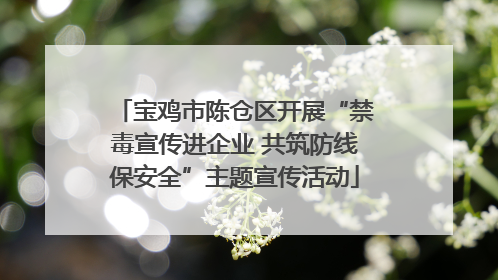 宝鸡市陈仓区开展“禁毒宣传进企业 共筑防线保安全”主题宣传活动