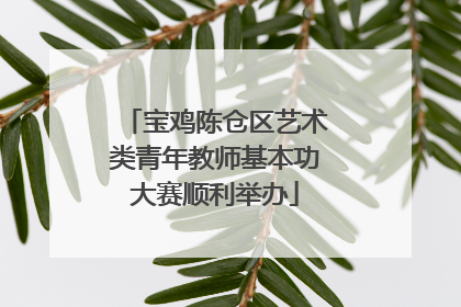 宝鸡陈仓区艺术类青年教师基本功大赛顺利举办