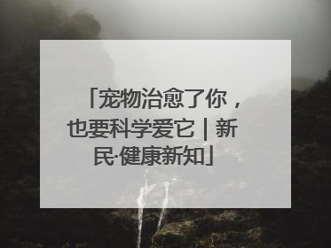 宠物治愈了你，也要科学爱它｜新民·健康新知