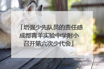 增强少先队员的责任感 成都青羊实验中学附小召开第六次少代会