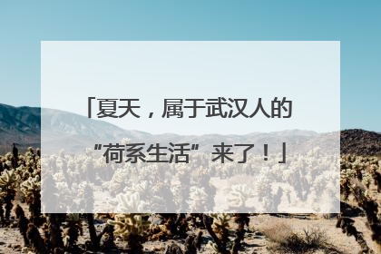 夏天，属于武汉人的“荷系生活”来了！