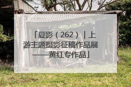 夏影（262）｜上游主题摄影征稿作品展——黄红专作品