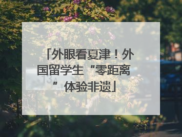 外眼看夏津！外国留学生“零距离”体验非遗