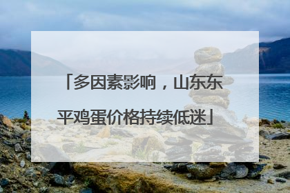 多因素影响，山东东平鸡蛋价格持续低迷