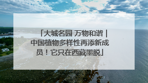 大城名园 万物和谐｜中国植物多样性再添新成员！它只在西藏墨脱