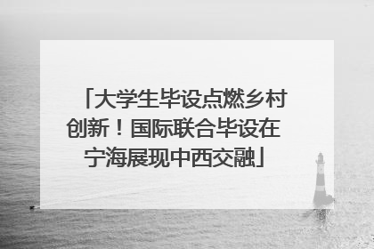 大学生毕设点燃乡村创新！国际联合毕设在宁海展现中西交融
