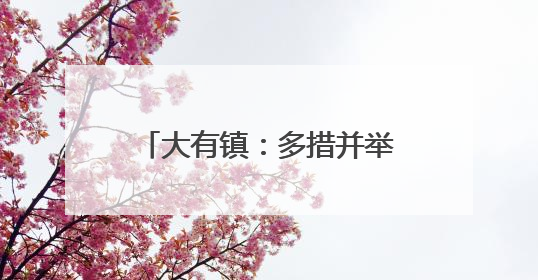 大有镇：多措并举筑牢防汛安全屏障