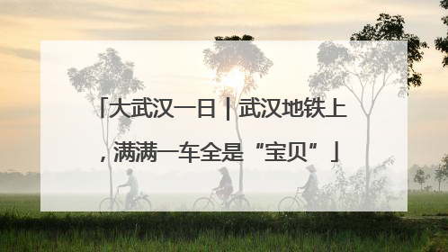 大武汉一日｜武汉地铁上，满满一车全是“宝贝”