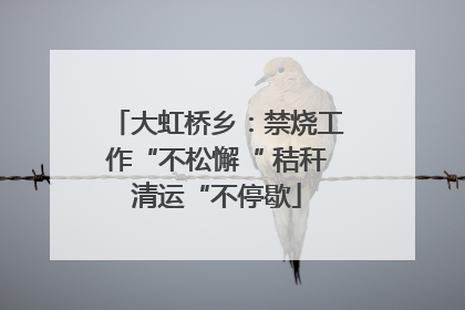 大虹桥乡：禁烧工作“不松懈“ 秸秆清运“不停歇
