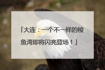 大连：一个不一样的梭鱼湾即将闪亮登场！