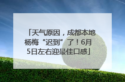 天气原因，成都本地杨梅“迟到”了！6月5日左右迎最佳口感