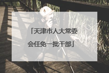 天津市人大常委会任免一批干部