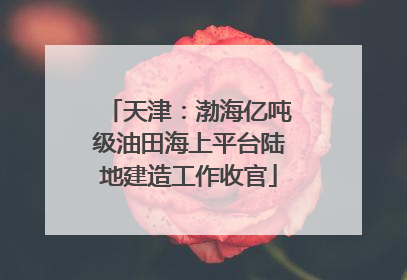 天津：渤海亿吨级油田海上平台陆地建造工作收官