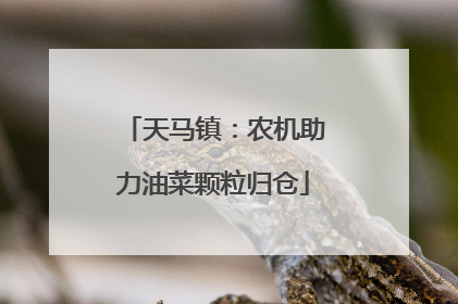 天马镇：农机助力油菜颗粒归仓