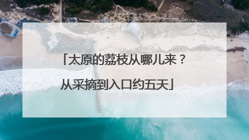 太原的荔枝从哪儿来？从采摘到入口约五天