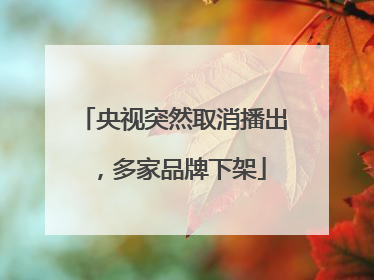 央视突然取消播出，多家品牌下架